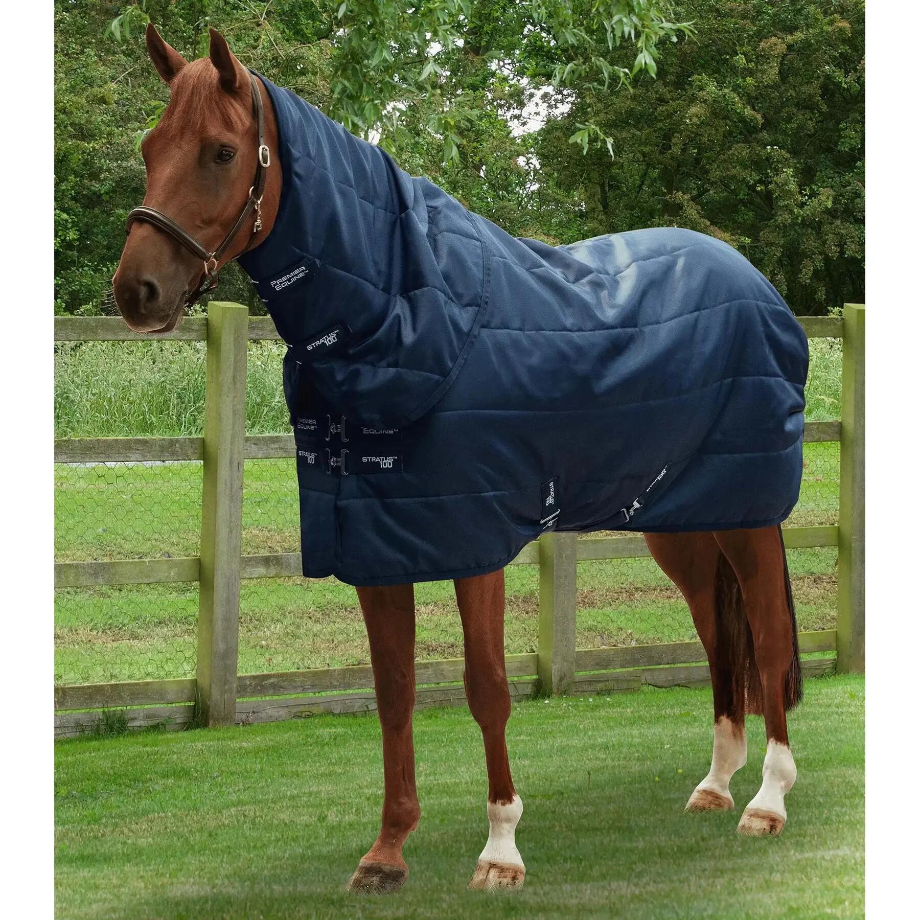 PREMIER EQUINE picture