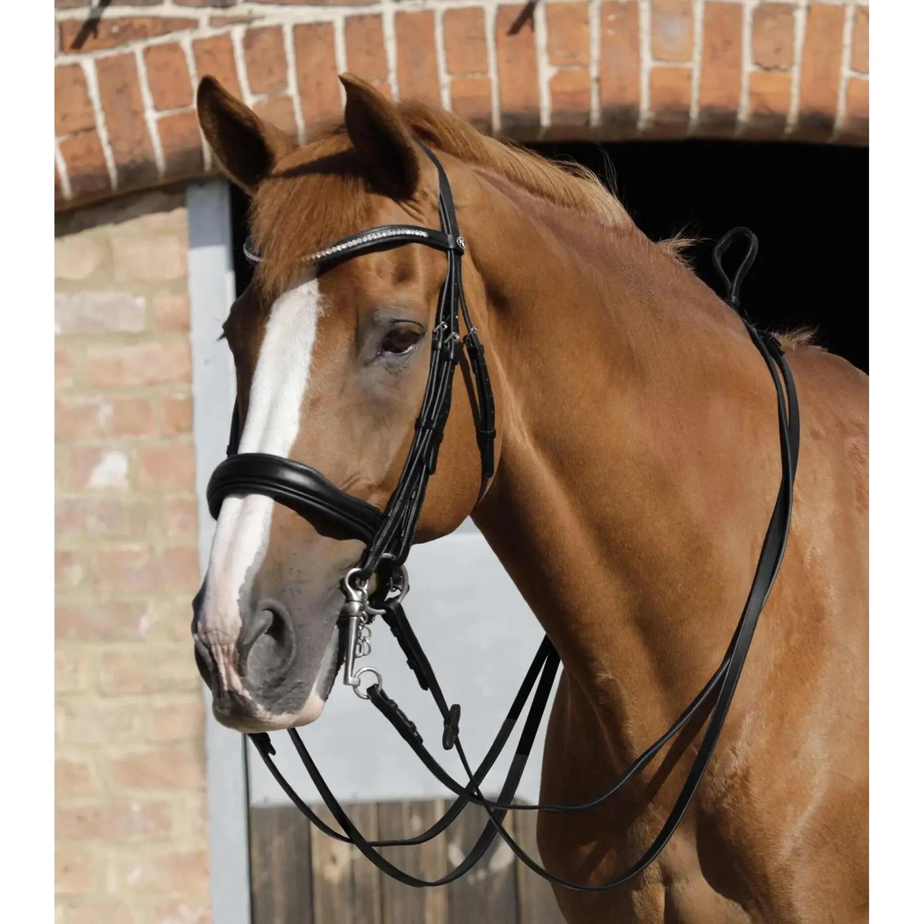 Teugels voor paarden in effen leer Premier Equine Luigi 2/5
