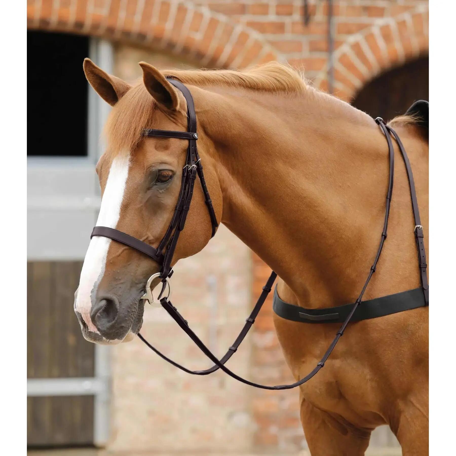 Redini in cuoio con impugnatura Premier Equine Salvatore 2/4