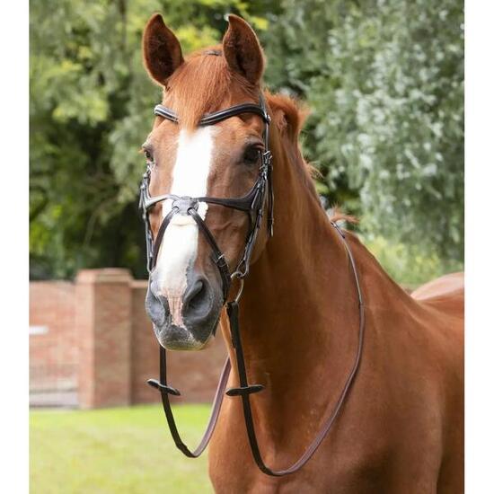 Rênes en caoutchouc Premier Equine Diego Pony 50