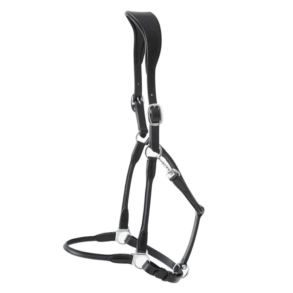 Anatomical horse halter rolled in leather Premier Equine Hennaroso