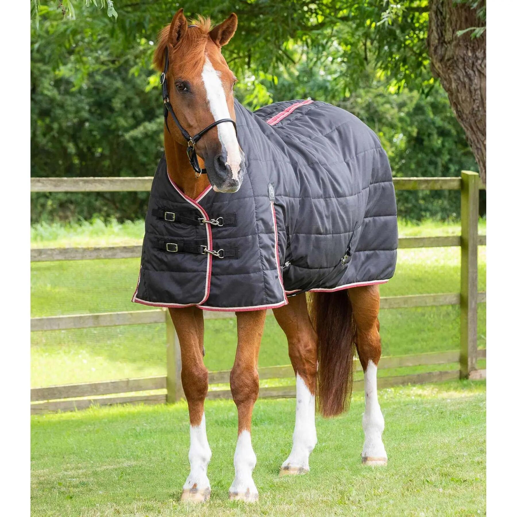 Coperta da stalla per cavalli Premier Equine Garissa 100 g 1/5