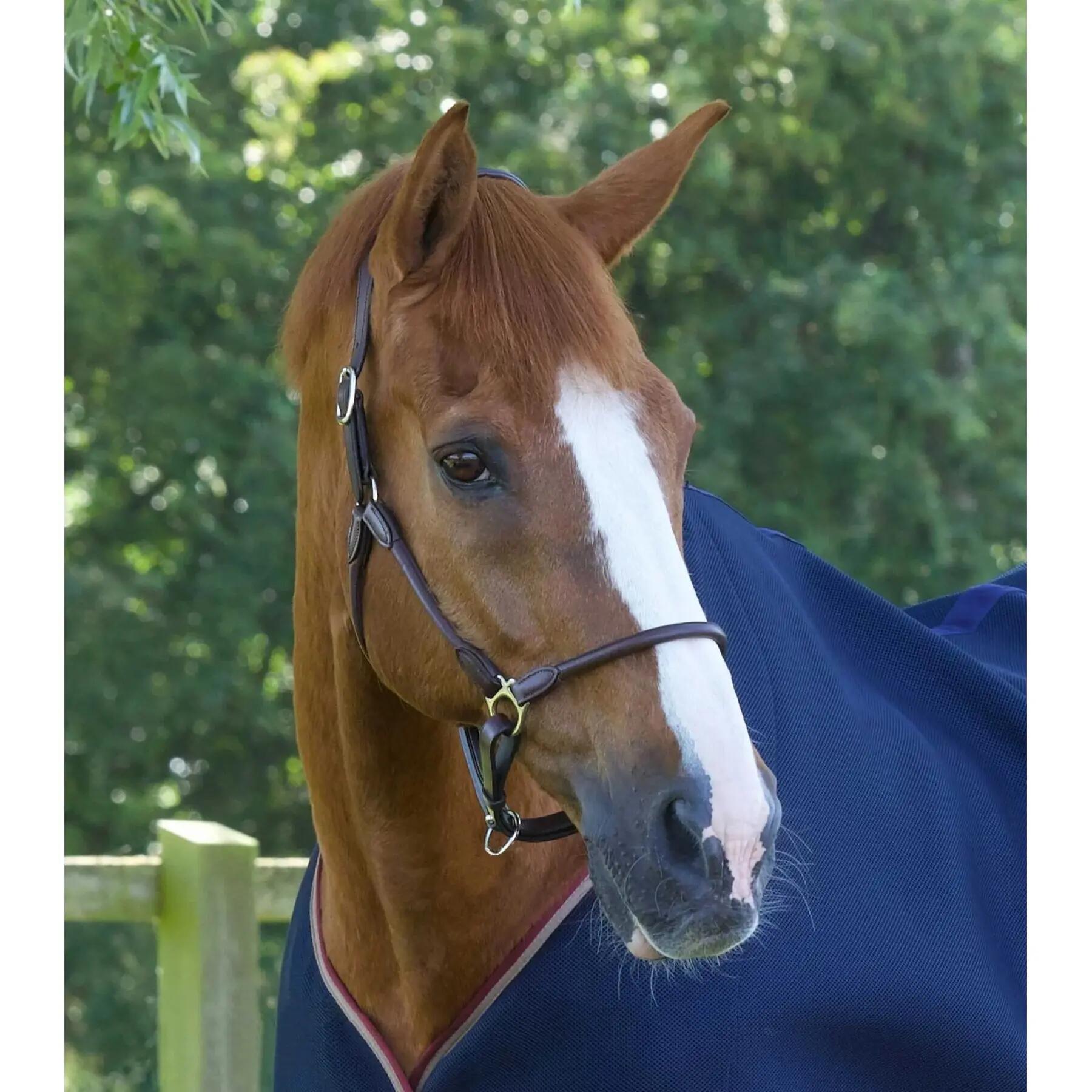 Licol pour cheval anatomique roulé cuir Premier Equine Hennaroso 2/4