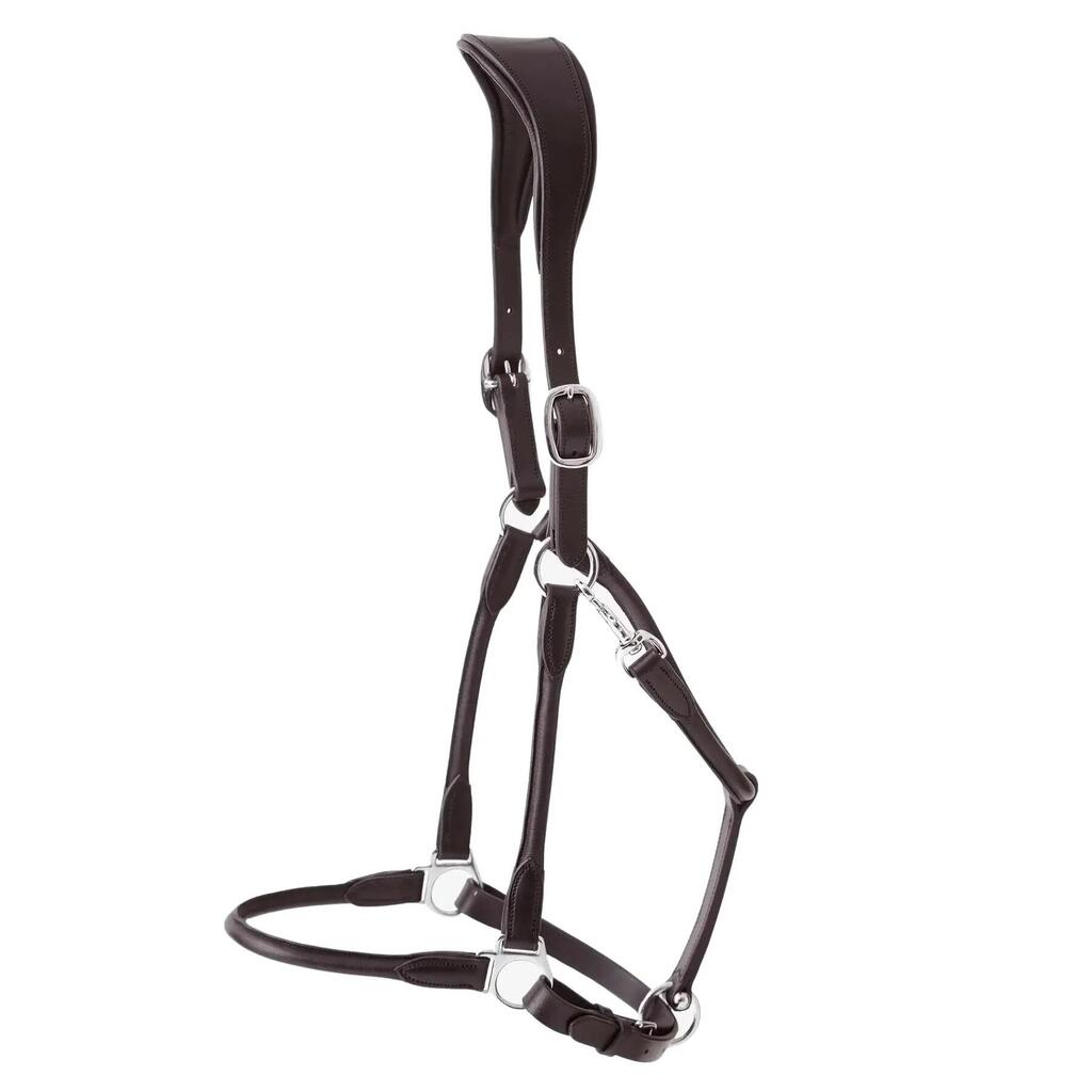 Anatomical horse halter rolled in leather Premier Equine Hennaroso