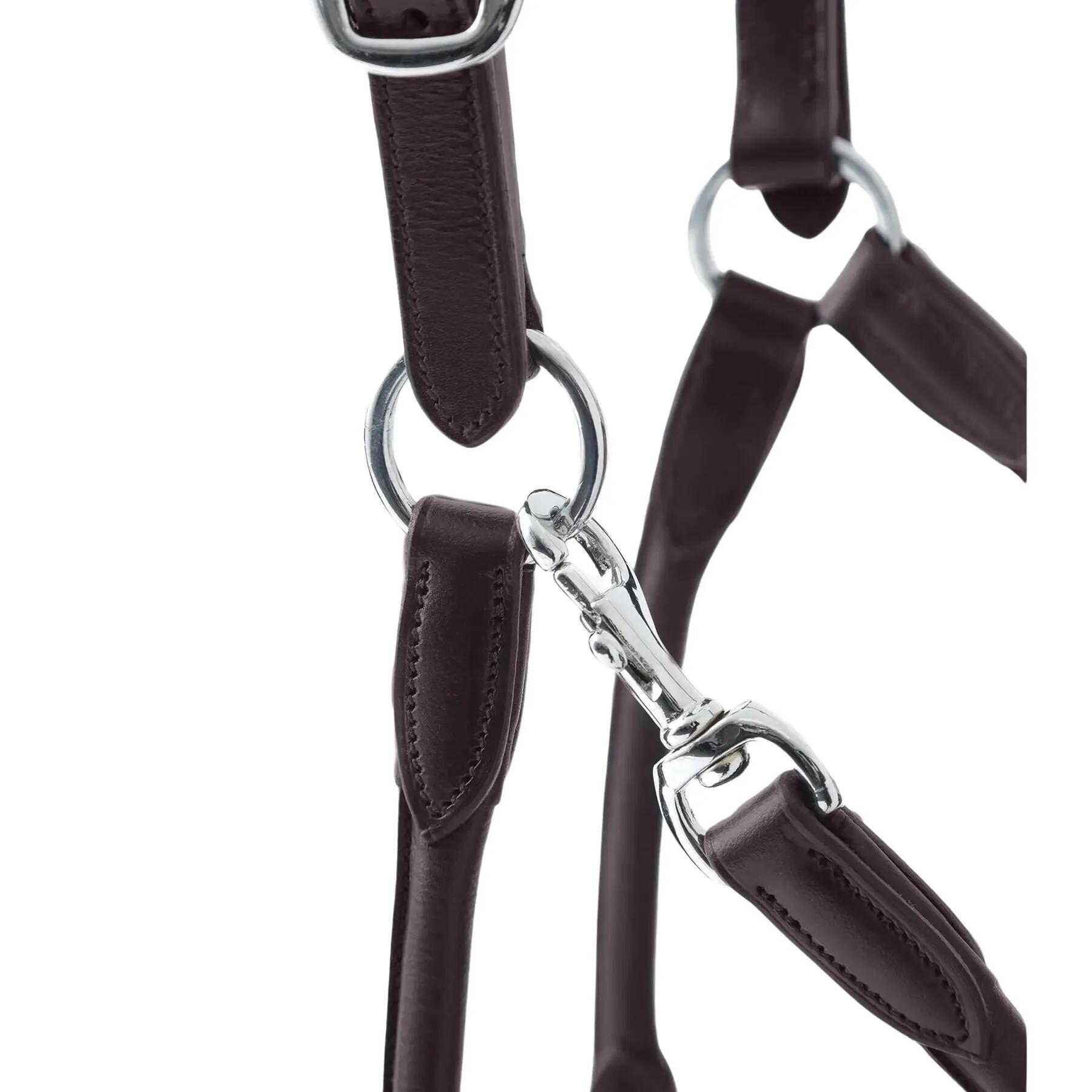 Licol pour cheval anatomique roulé cuir Premier Equine Hennaroso 4/4
