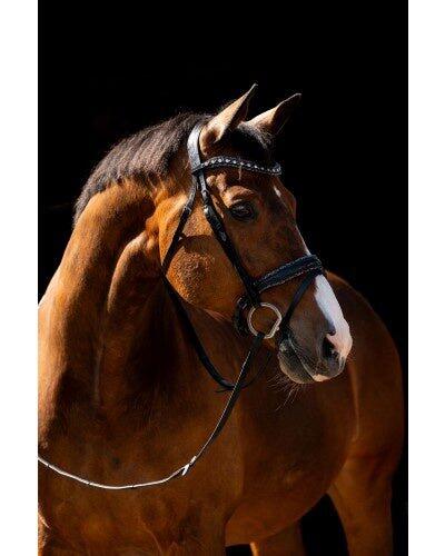 Hb Showtime Jump Rocky Glitter Trenshoofdstel Zwart - 2/5