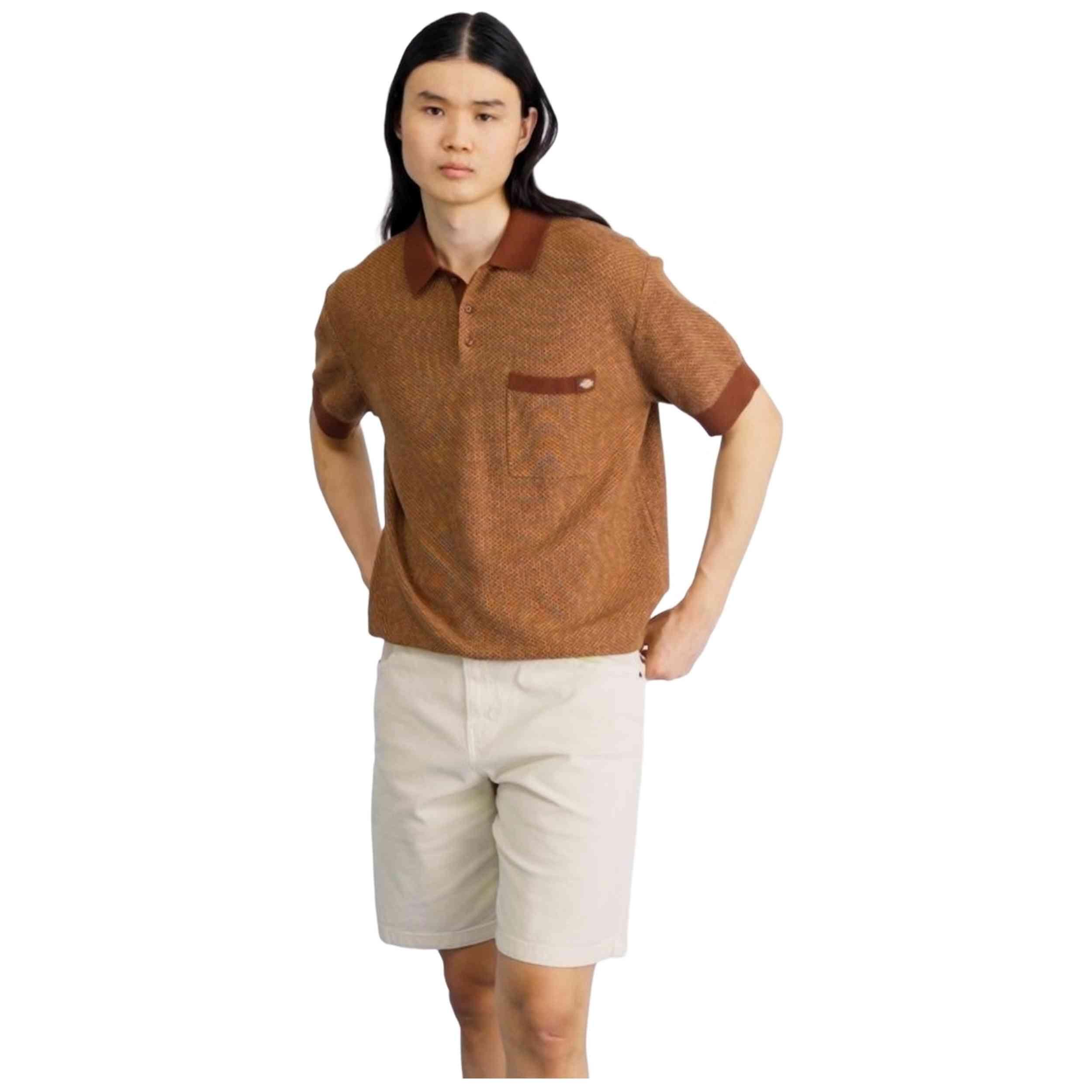 Pantaloncini Dickies modello DK0A4Z7ZF901-BEIGE per uomini 2/5