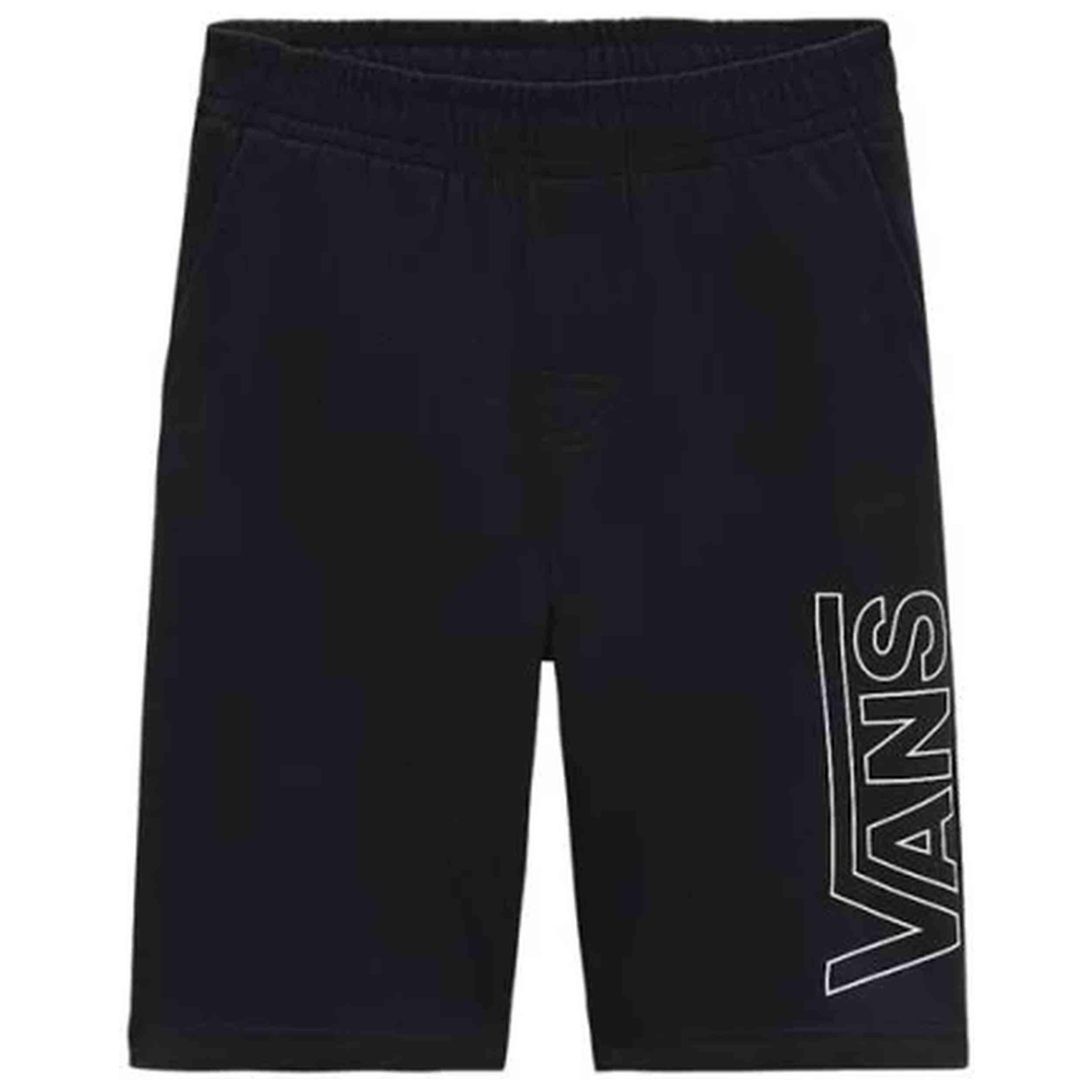 VANS picture