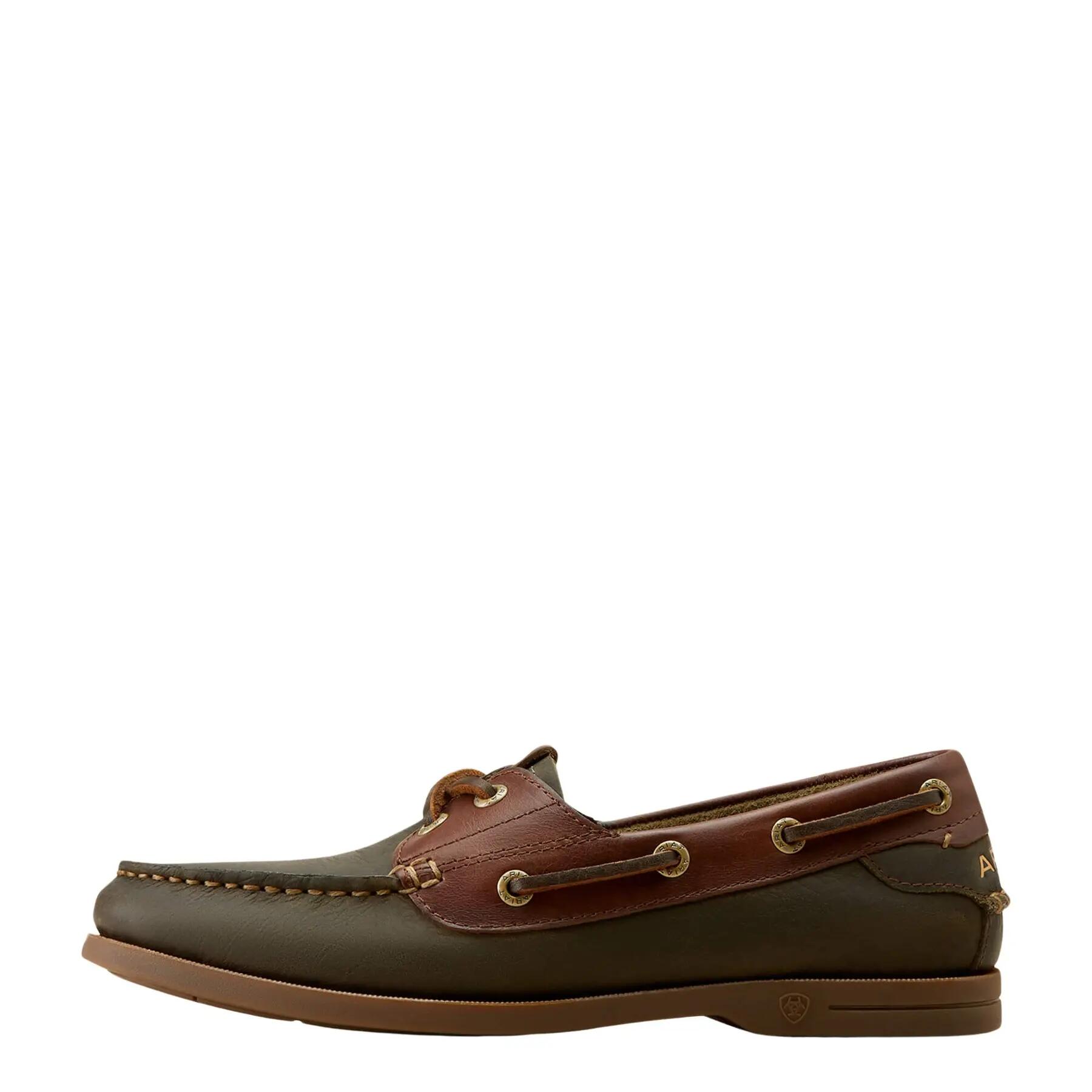 ARIAT picture