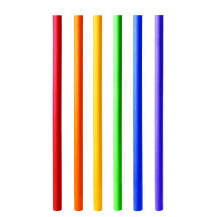 Frite de piscine Tremblay CT (x50)