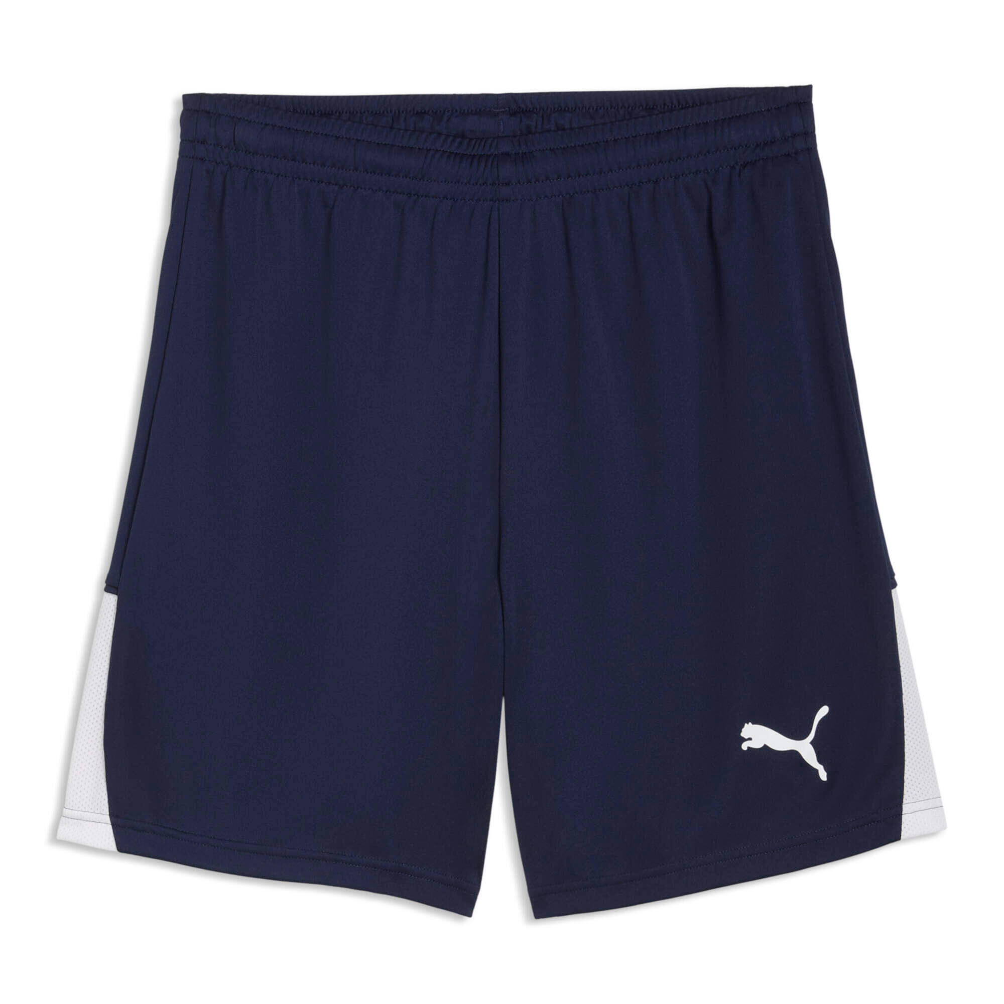 PUMA picture