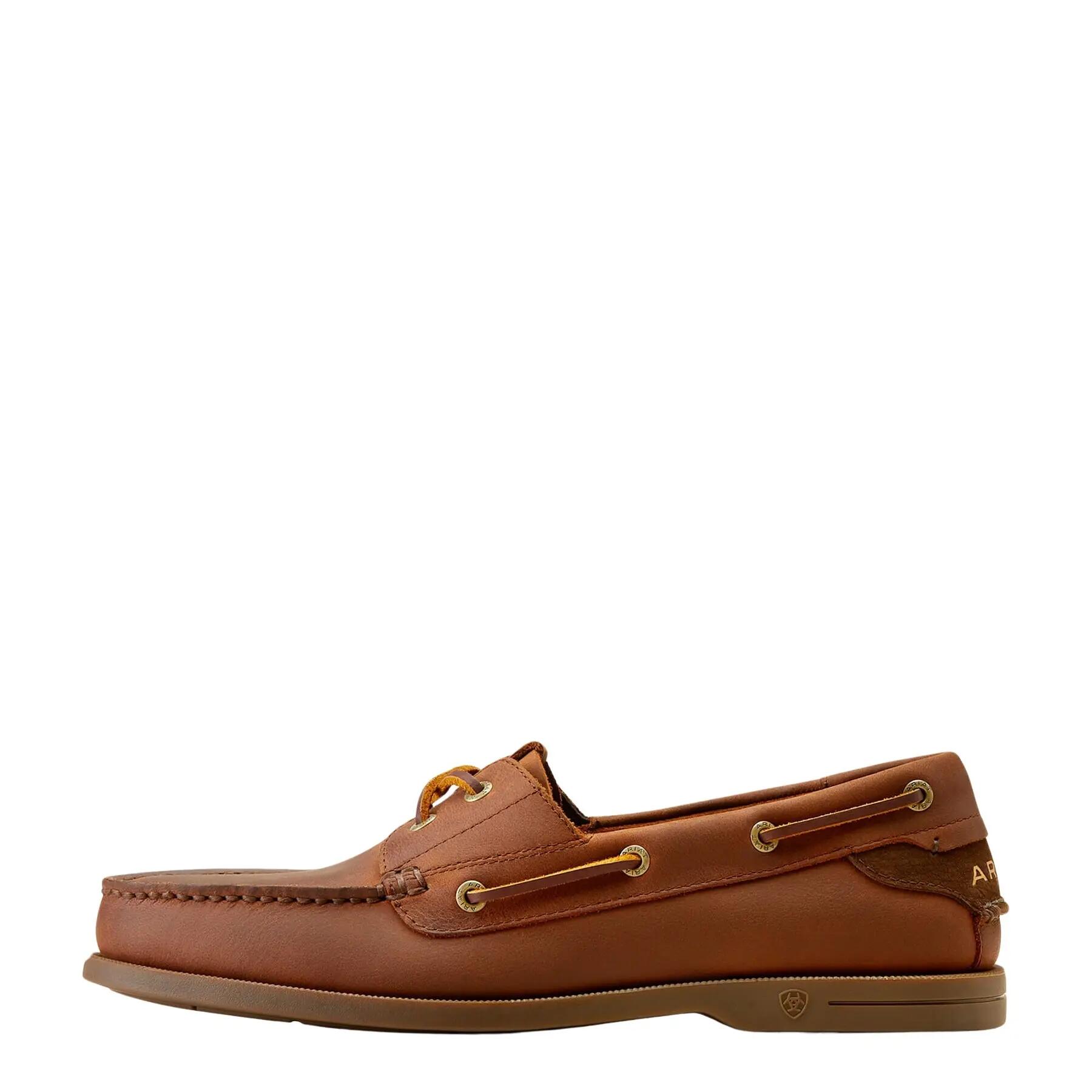 ARIAT picture
