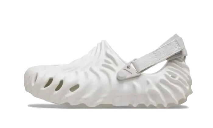 CROCS picture