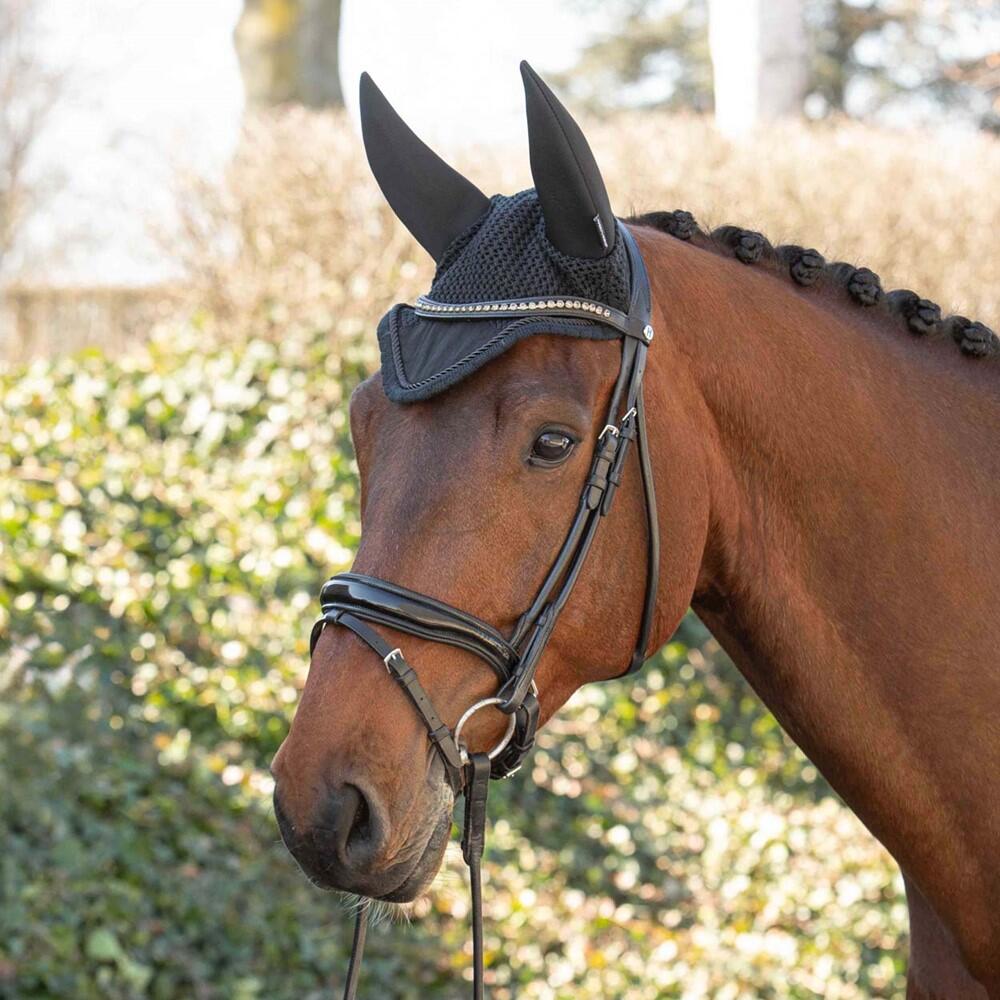 HARRYS HORSE picture