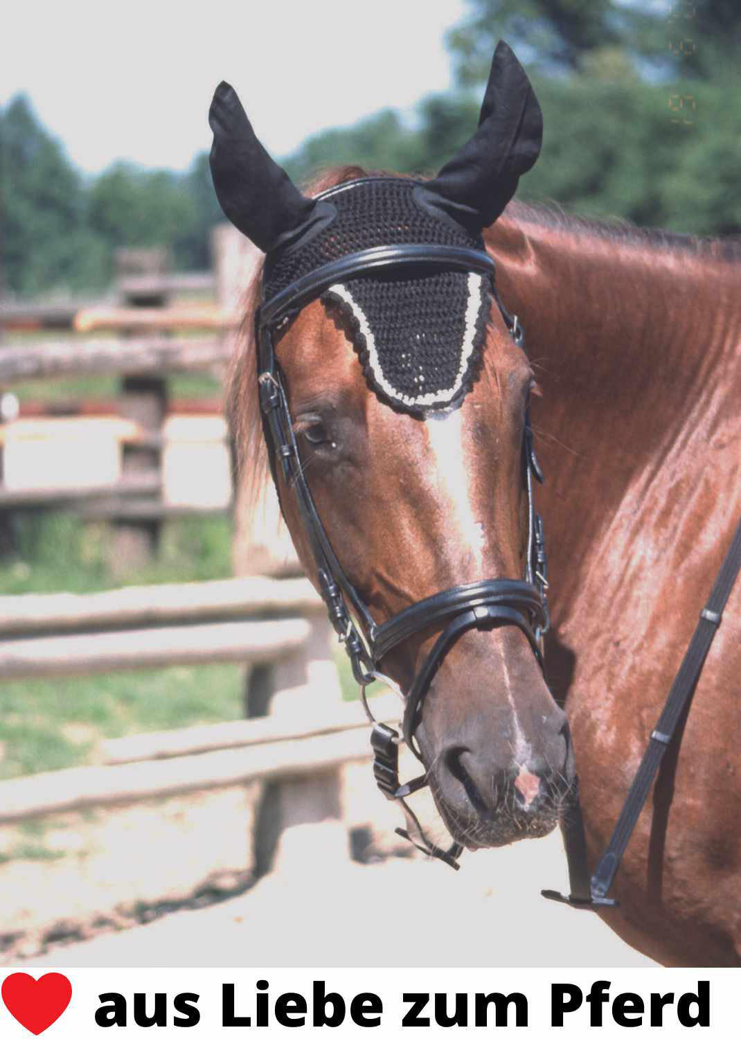 Harry`s Horse Fliegenhaube Silencer für geräuschdämmenden Komfort 3/4