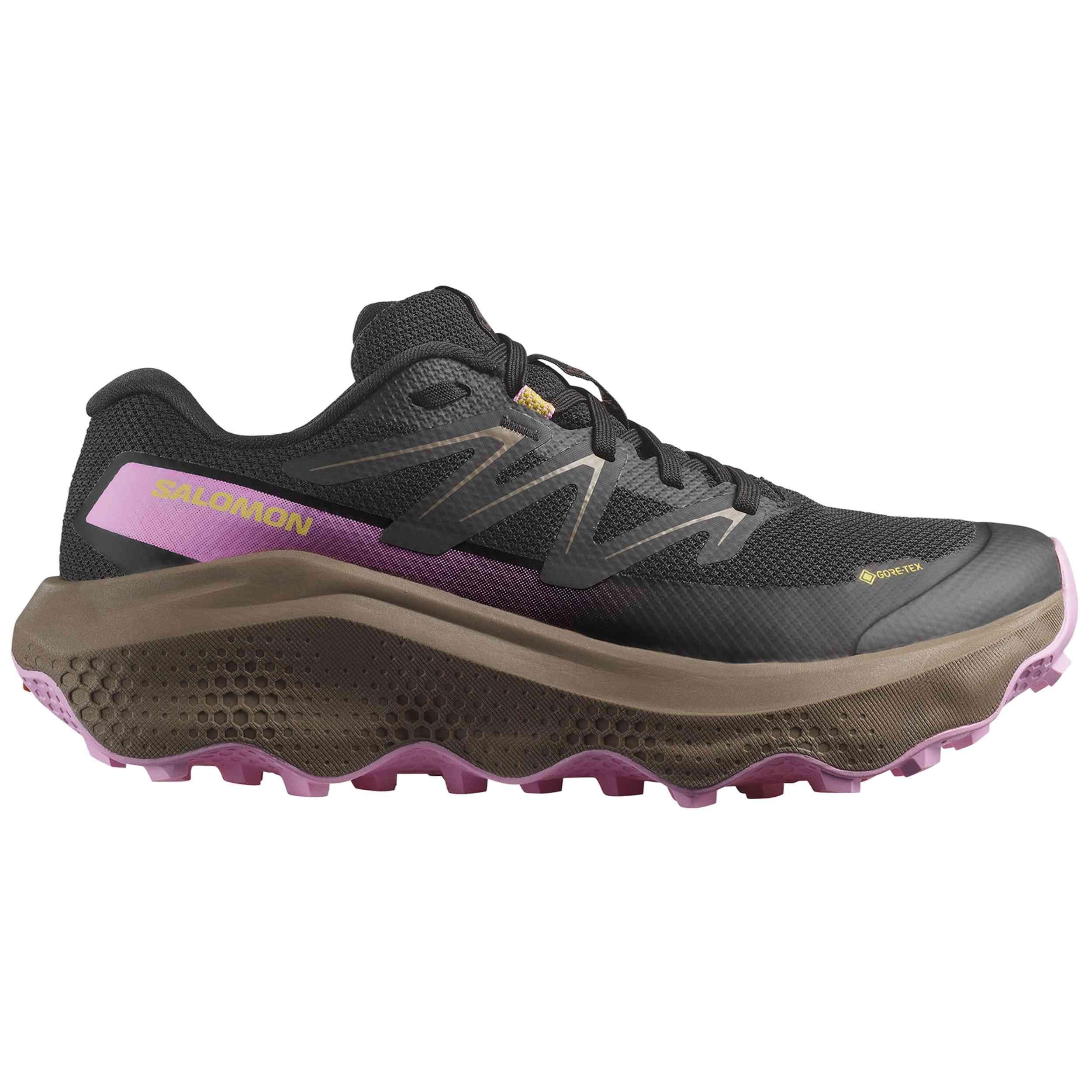 SALOMON picture