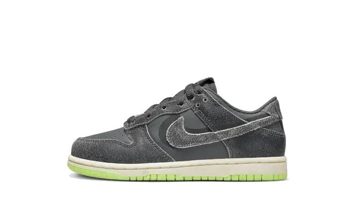 Dunk Low Swoosh Shadow Iron Grey Enfant (PS) 1/3