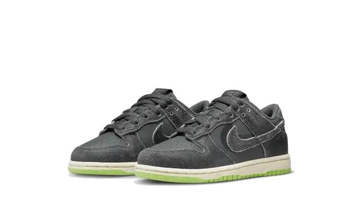 Dunk Low Swoosh Shadow Iron Grey Enfant (PS) 2/3