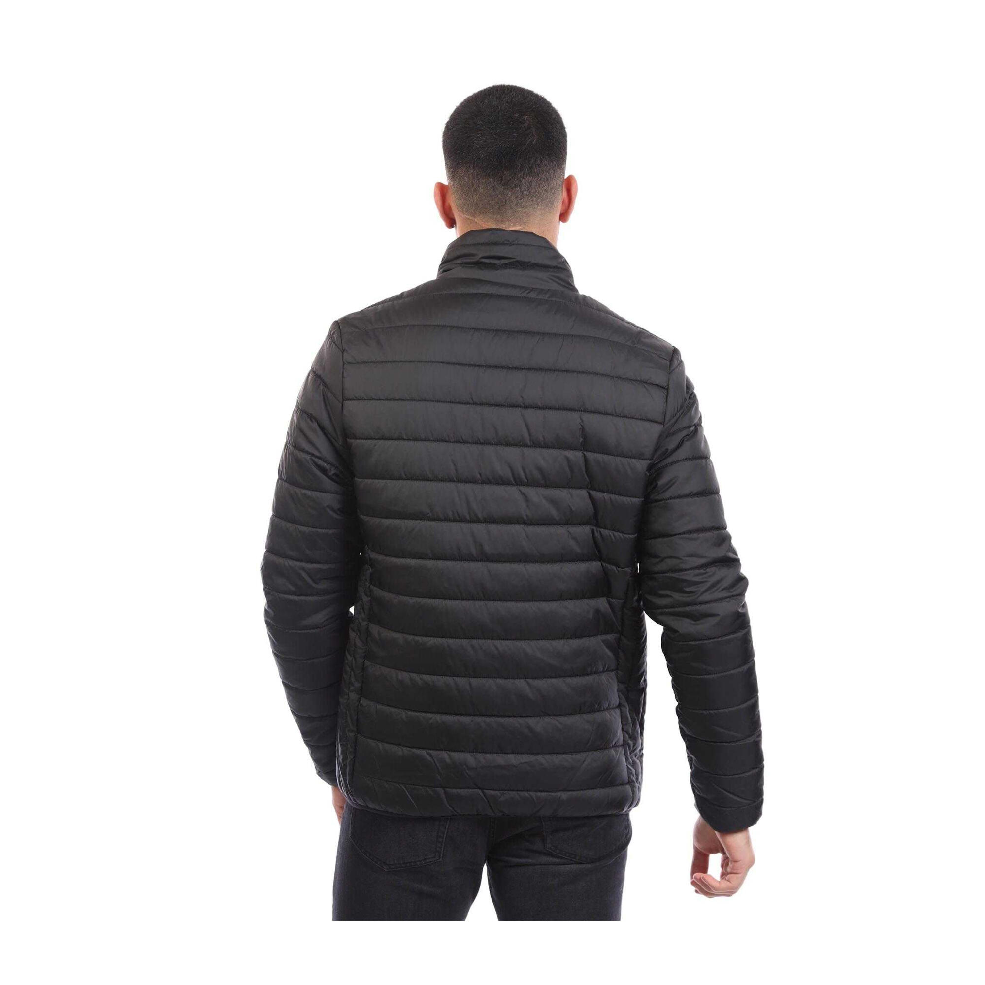 Doudoune PUROSANGUE Homme (Noir) 2/4