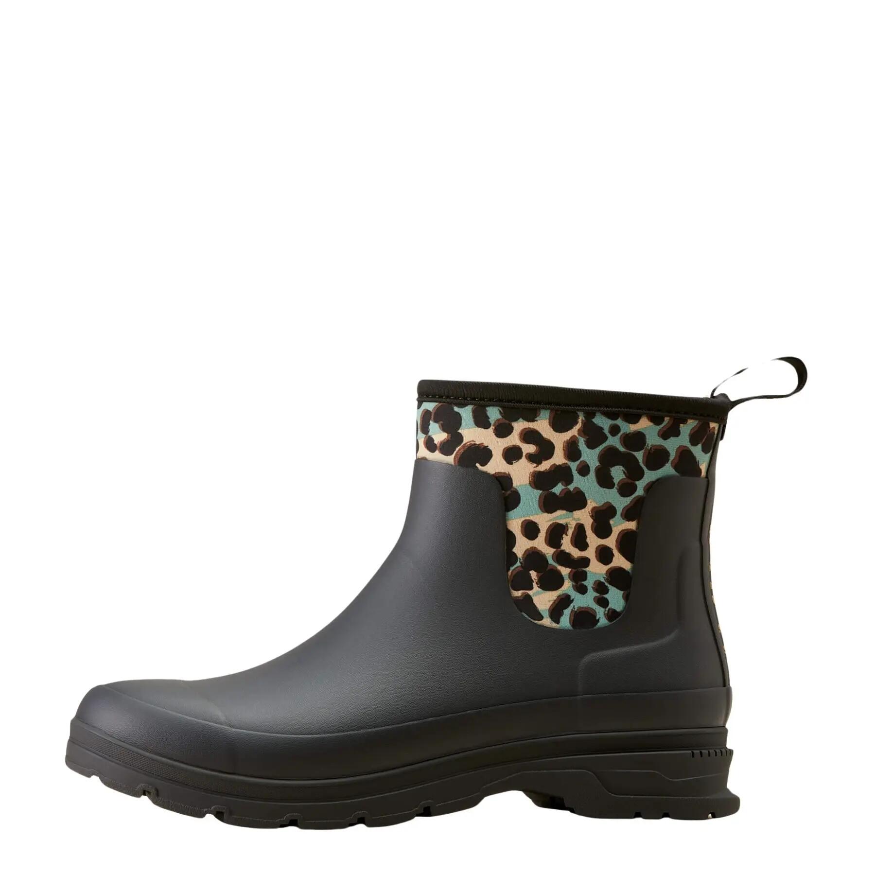 ARIAT picture