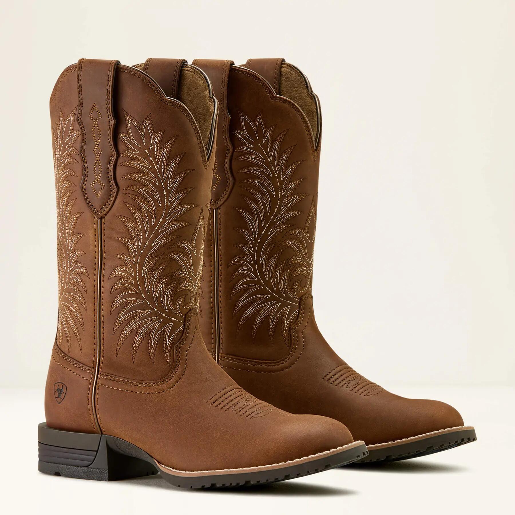 ARIAT picture