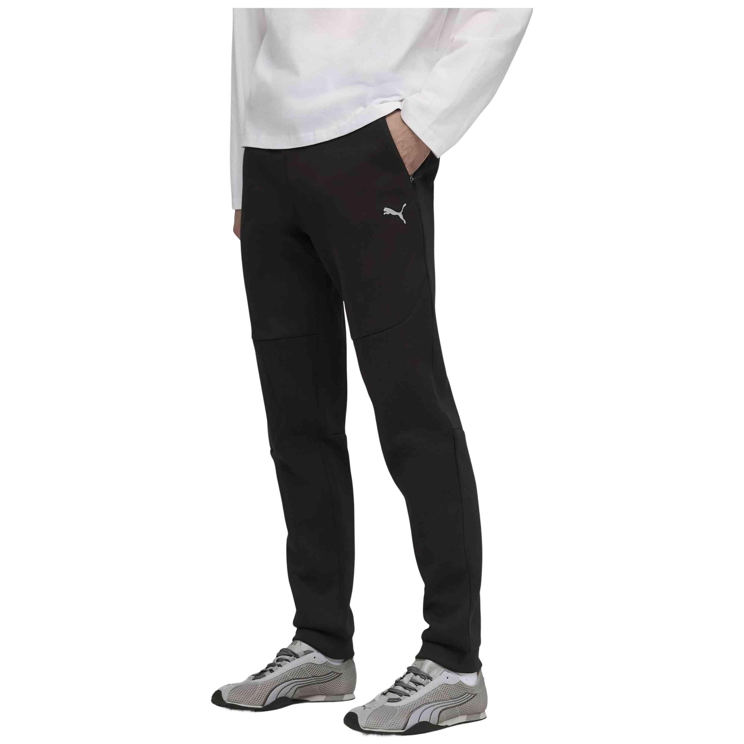 PUMA picture