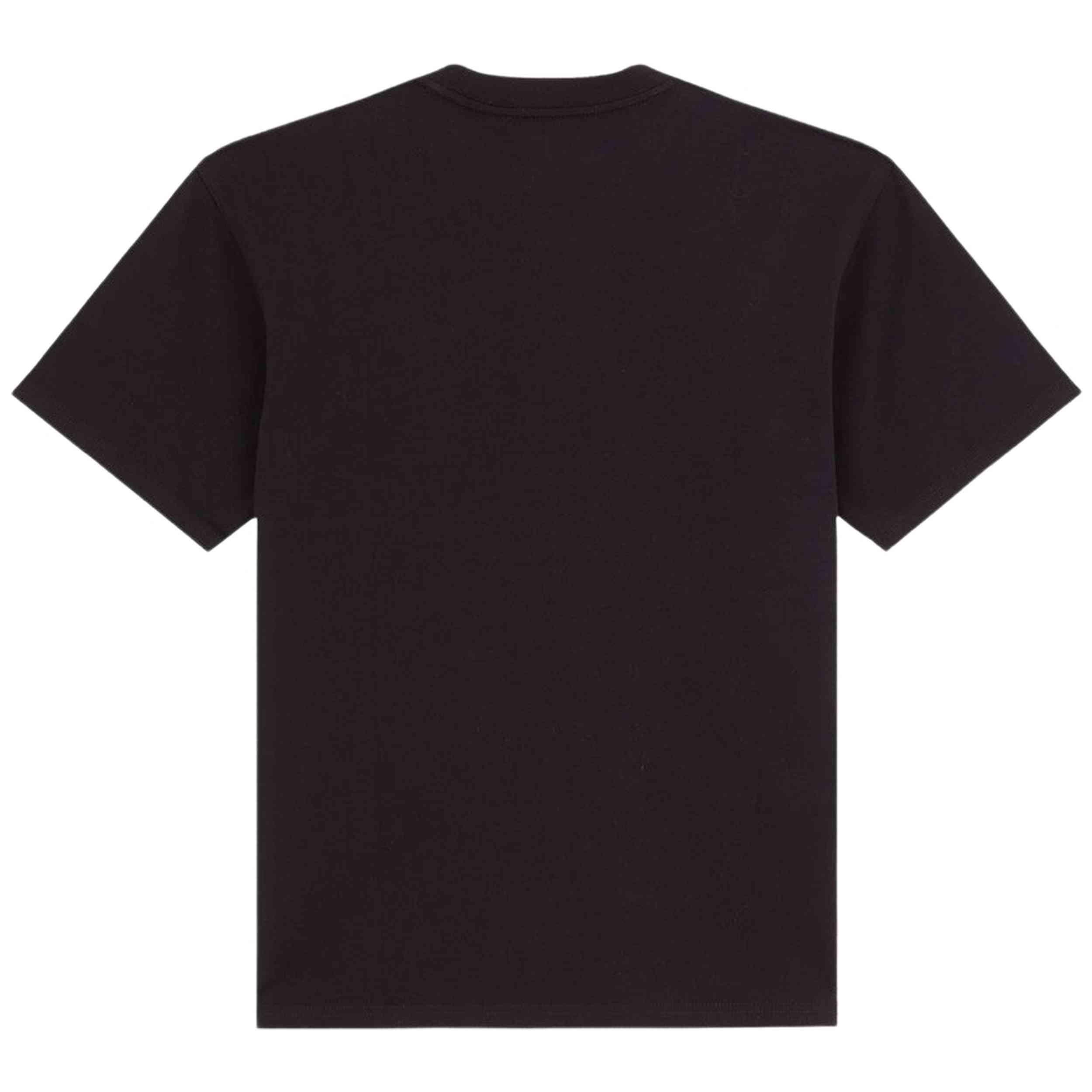 T-shirt Dickies modèle DK0A89ENBLK1 pour homme 2/4