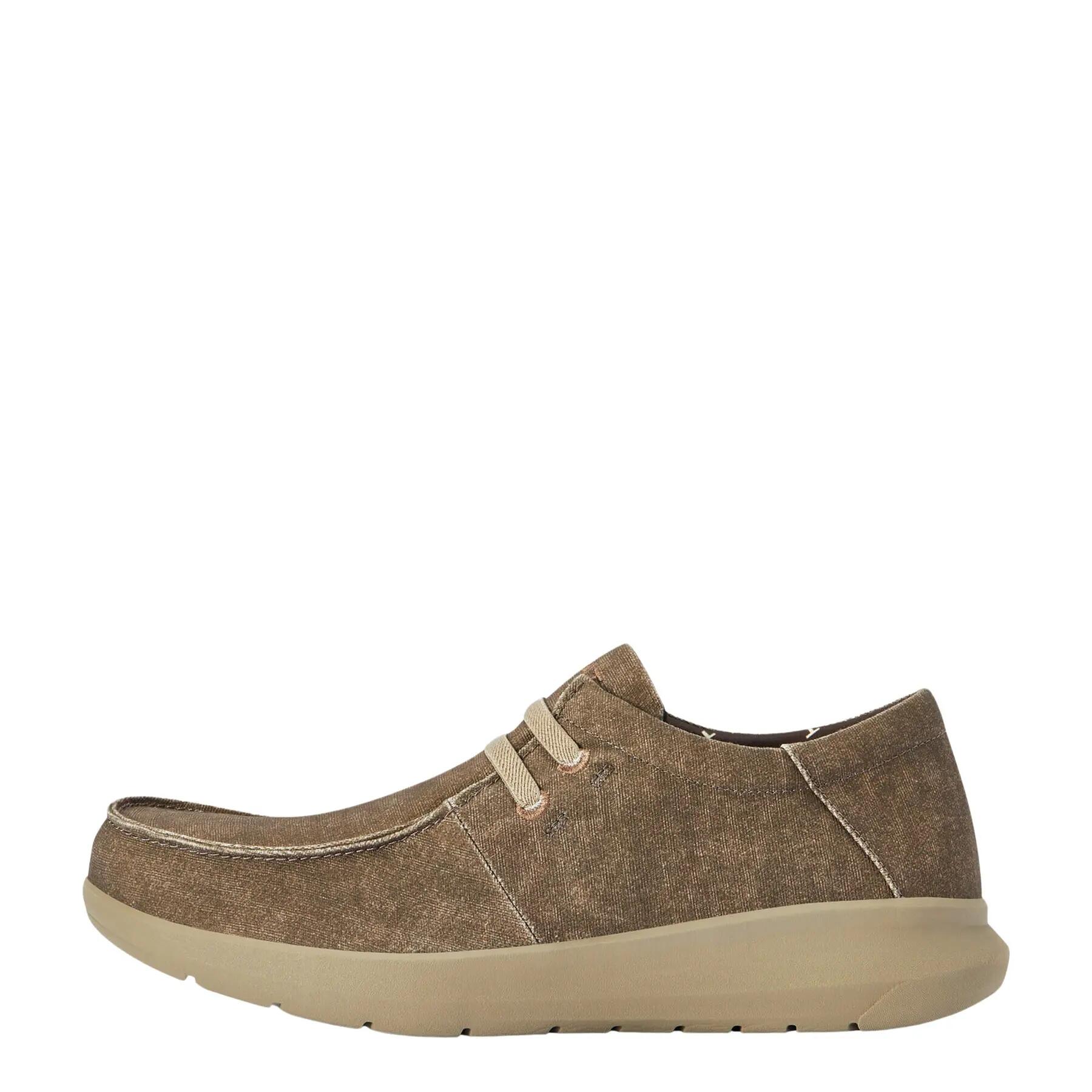 ARIAT picture