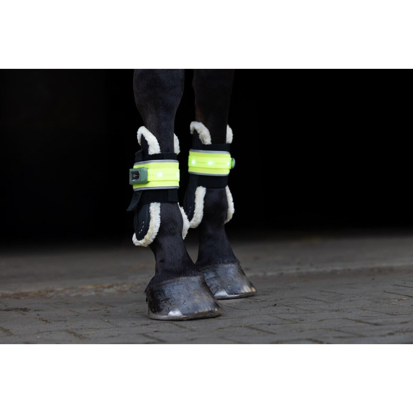 LED horse boots Covalliero 3/3