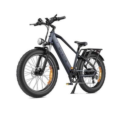 E26 volwassen elektrische fiets 250w, 48v 16ah, 26" brede band
