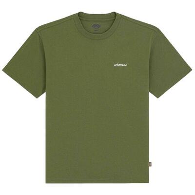 T-shirt met korte mouwen dickies model dk0a89enk721-grn voor mannen