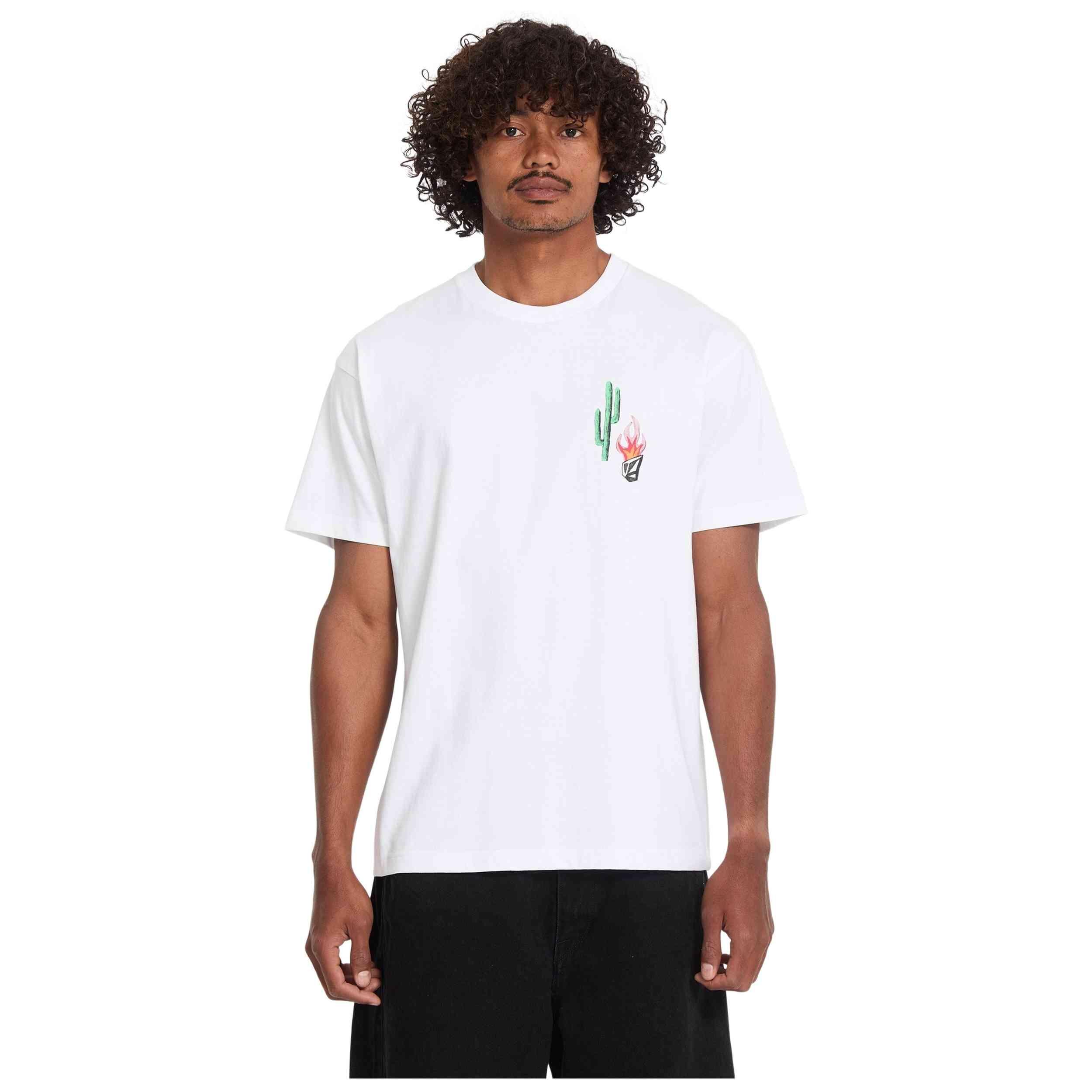VOLCOM picture