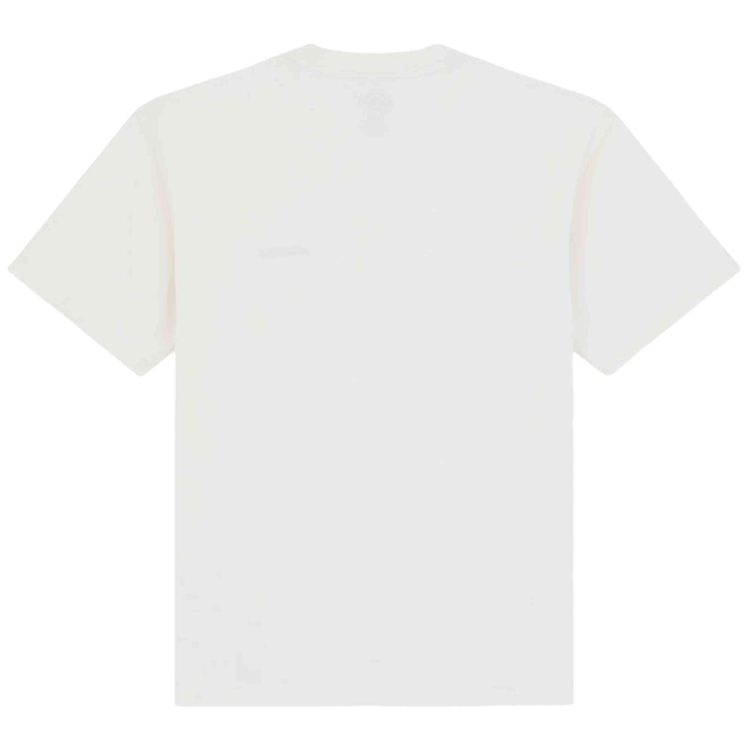 T-shirt met korte mouwen Dickies model DK0A89ENECR1-WHT voor mannen 2/4