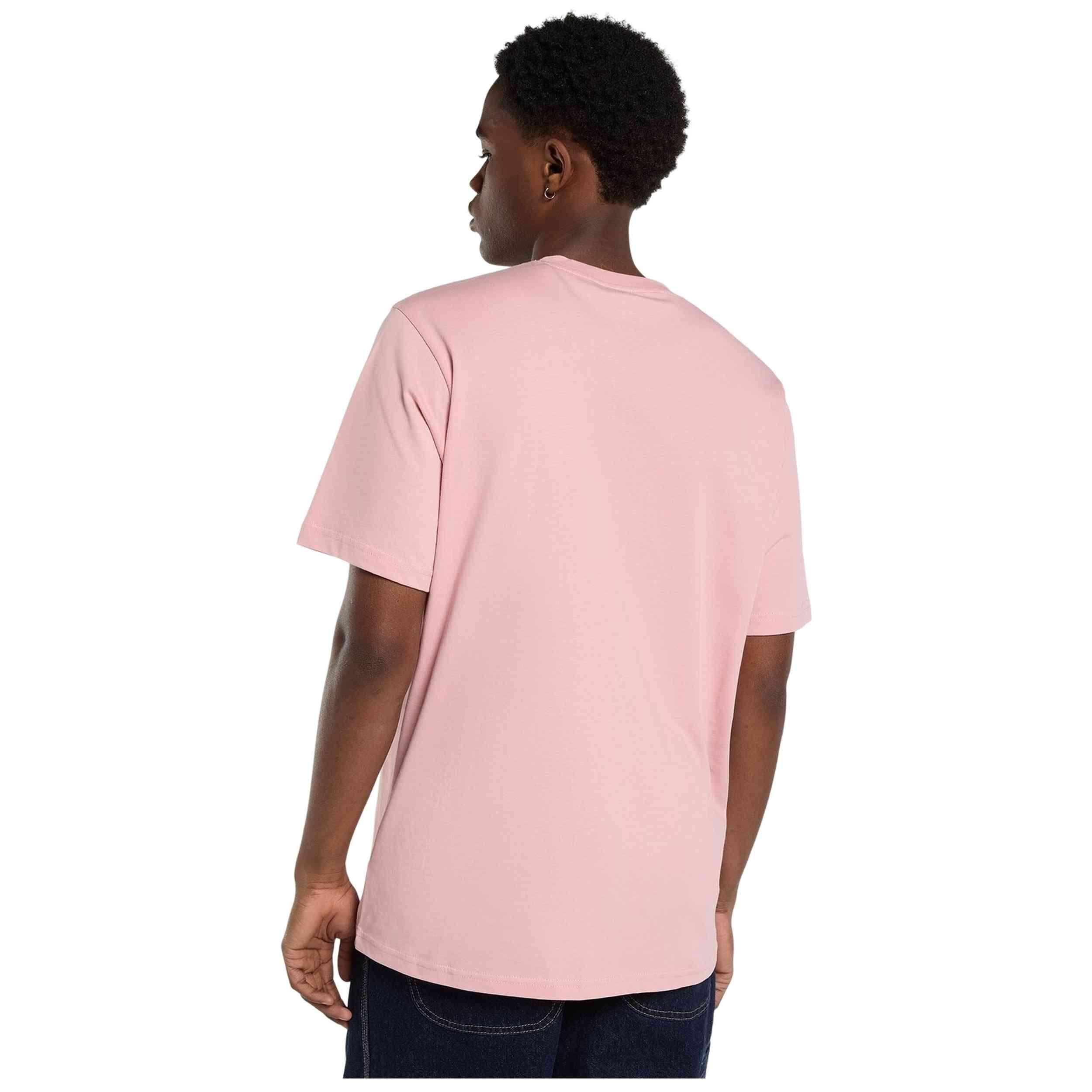 T-shirt Dickies modelo DK0A4XDBL471 para unissex 2/3