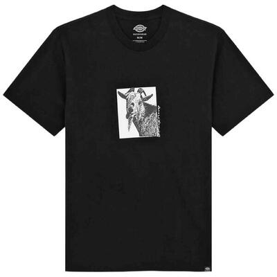 T-shirt met korte mouwen dickies model 175940-blk voor mannen