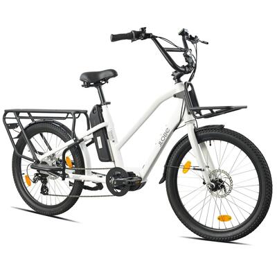 Llobe cargo e-bike 24" cargado