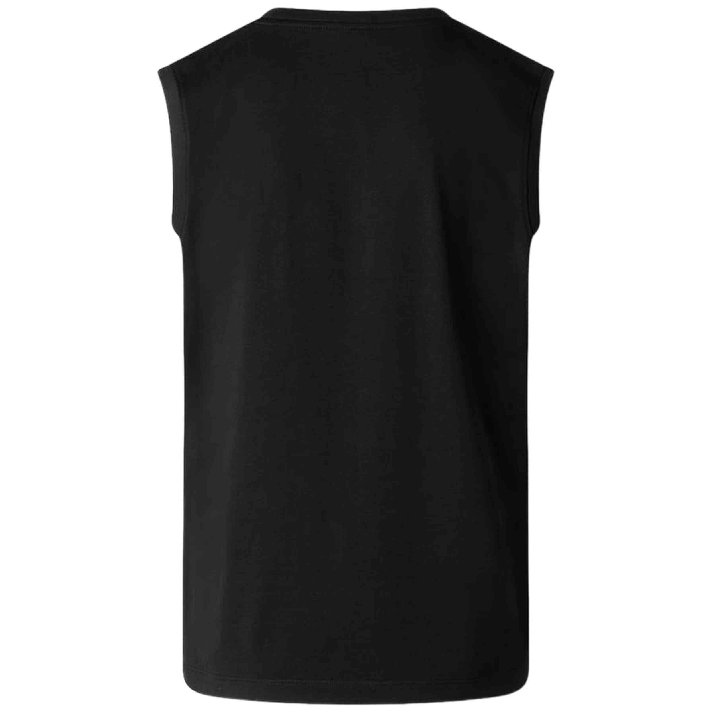 Debardeur The north face modèle NF0A8FD4JK3 pour homme 2/5