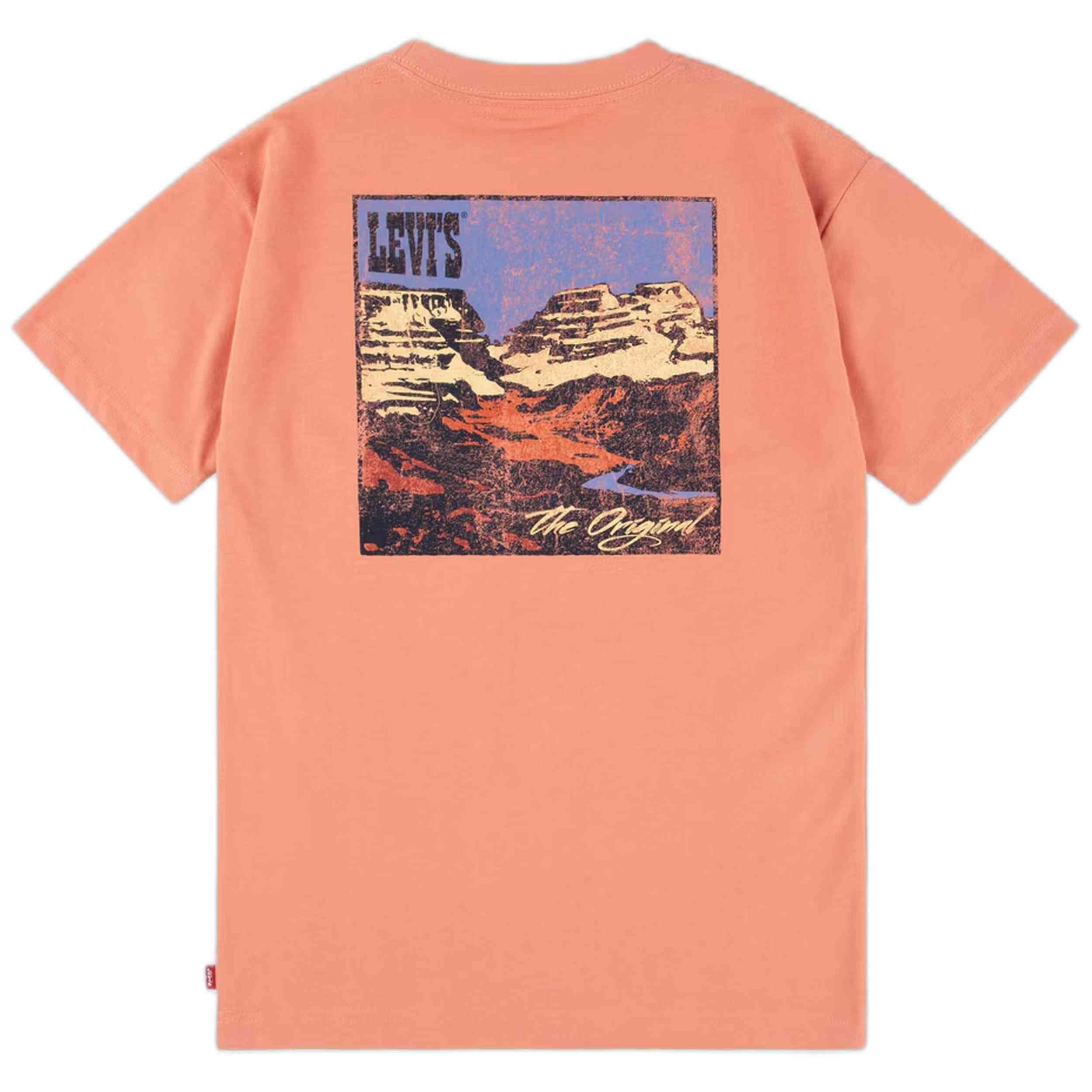 T-shirt Levi's modèle 9EM301-N8G pour enfants 2/3