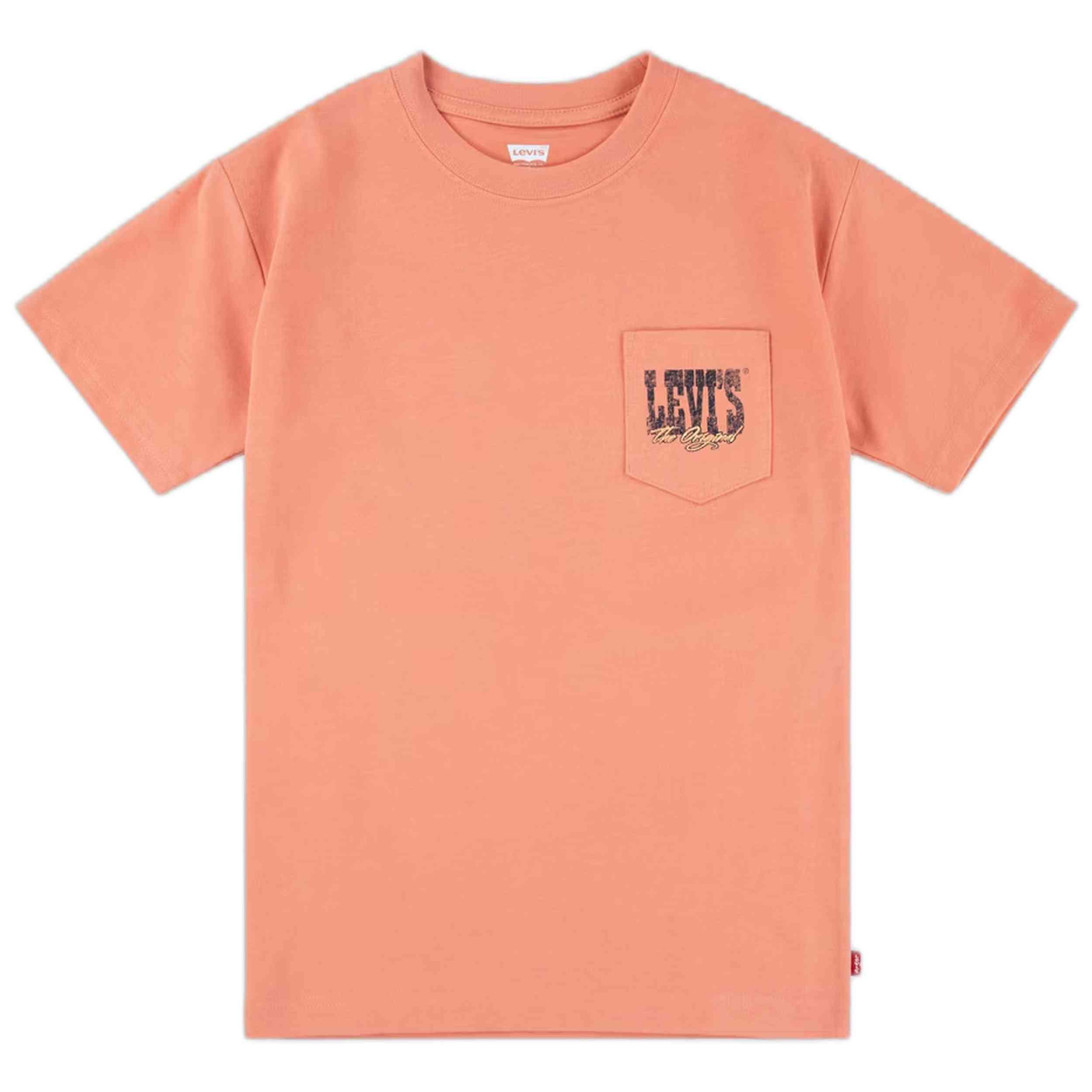 T-shirt Levi's modèle 9EM301-N8G pour enfants 1/3