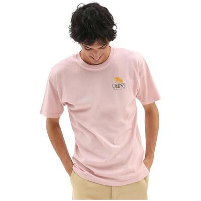 T-shirt met korte mouwen vans model vn0006chbql1 voor mannen