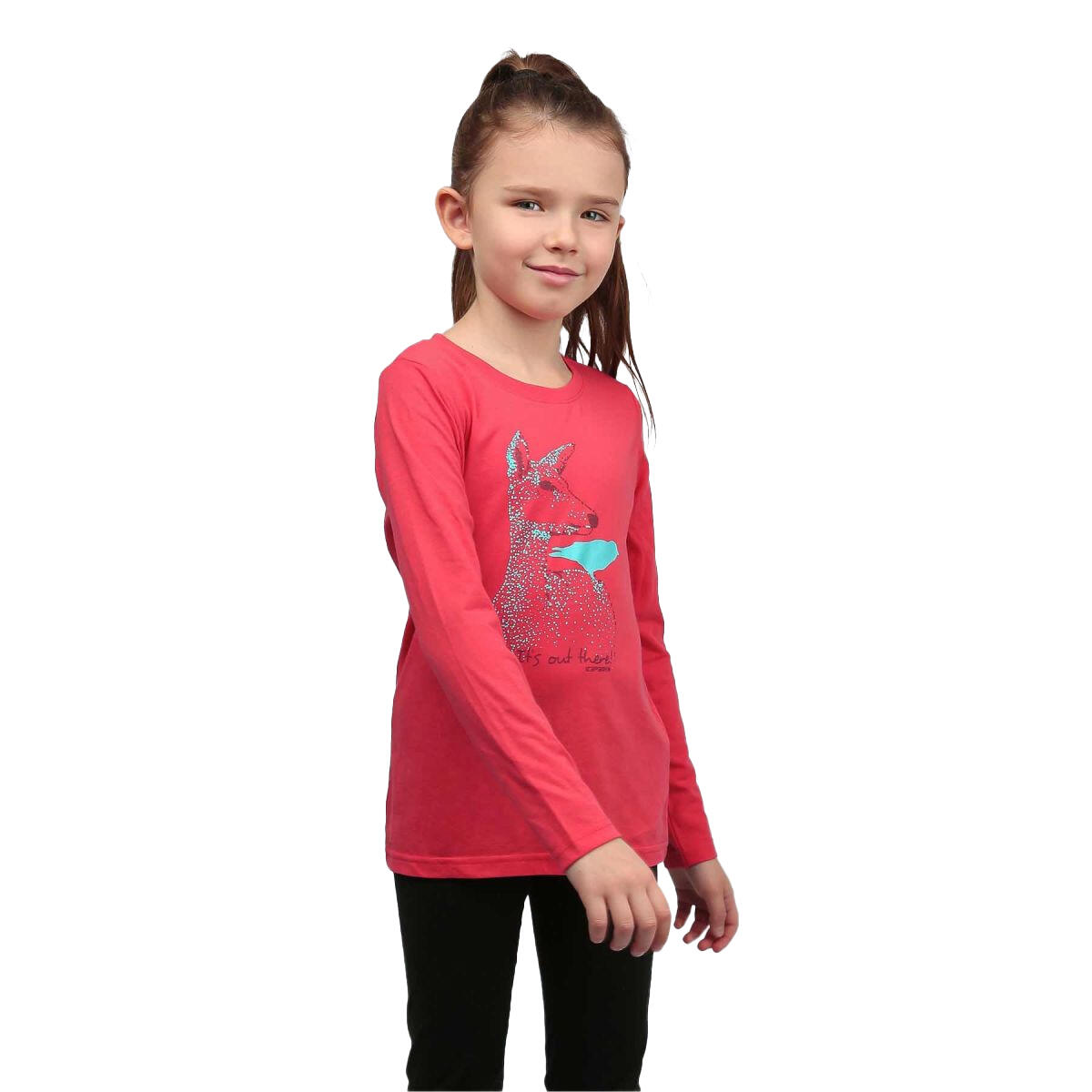 ICEPEAK picture