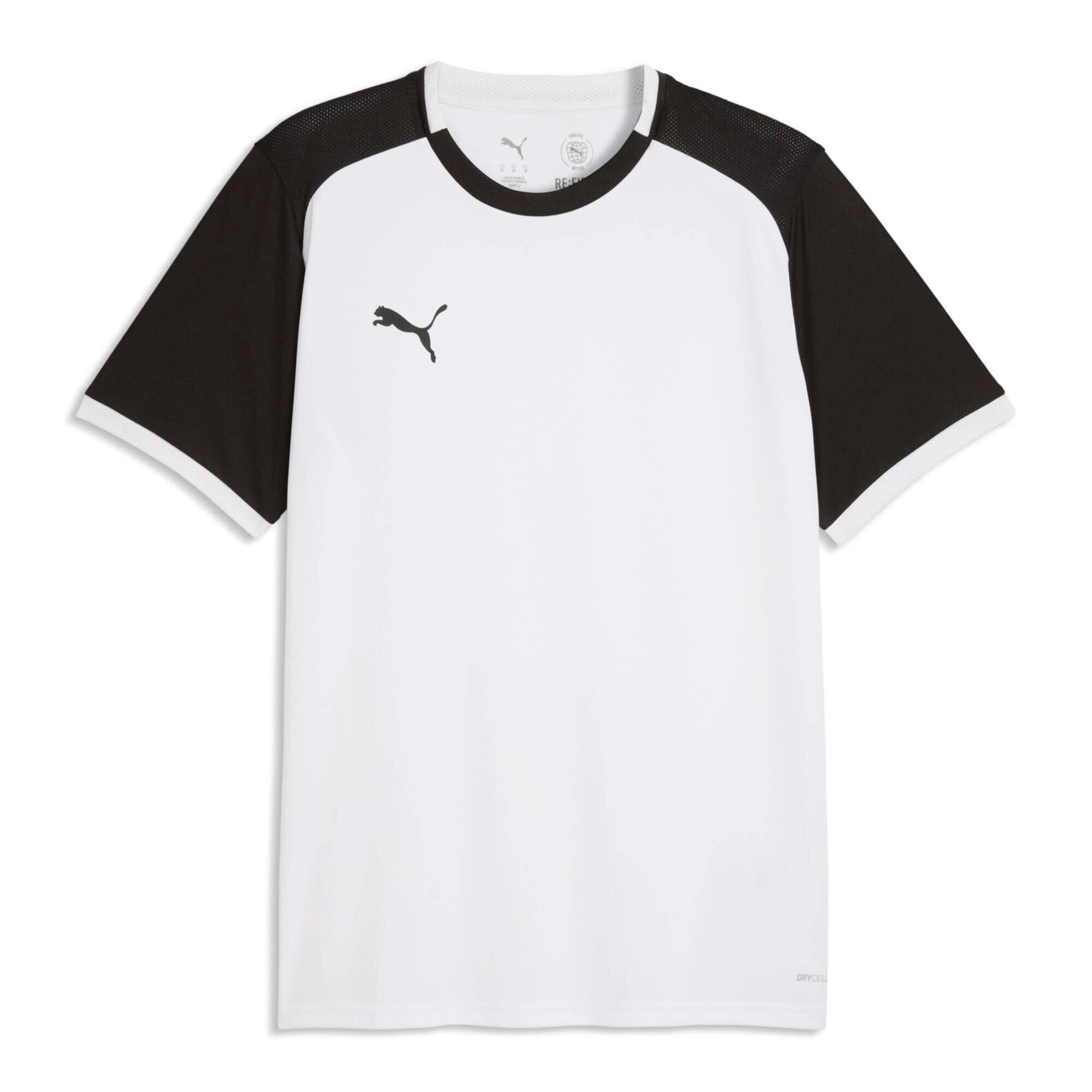 PUMA picture