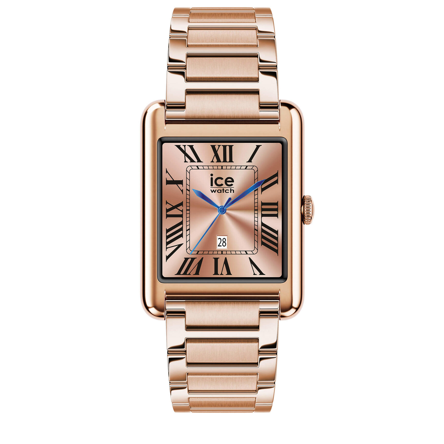 ICE WATCH picture