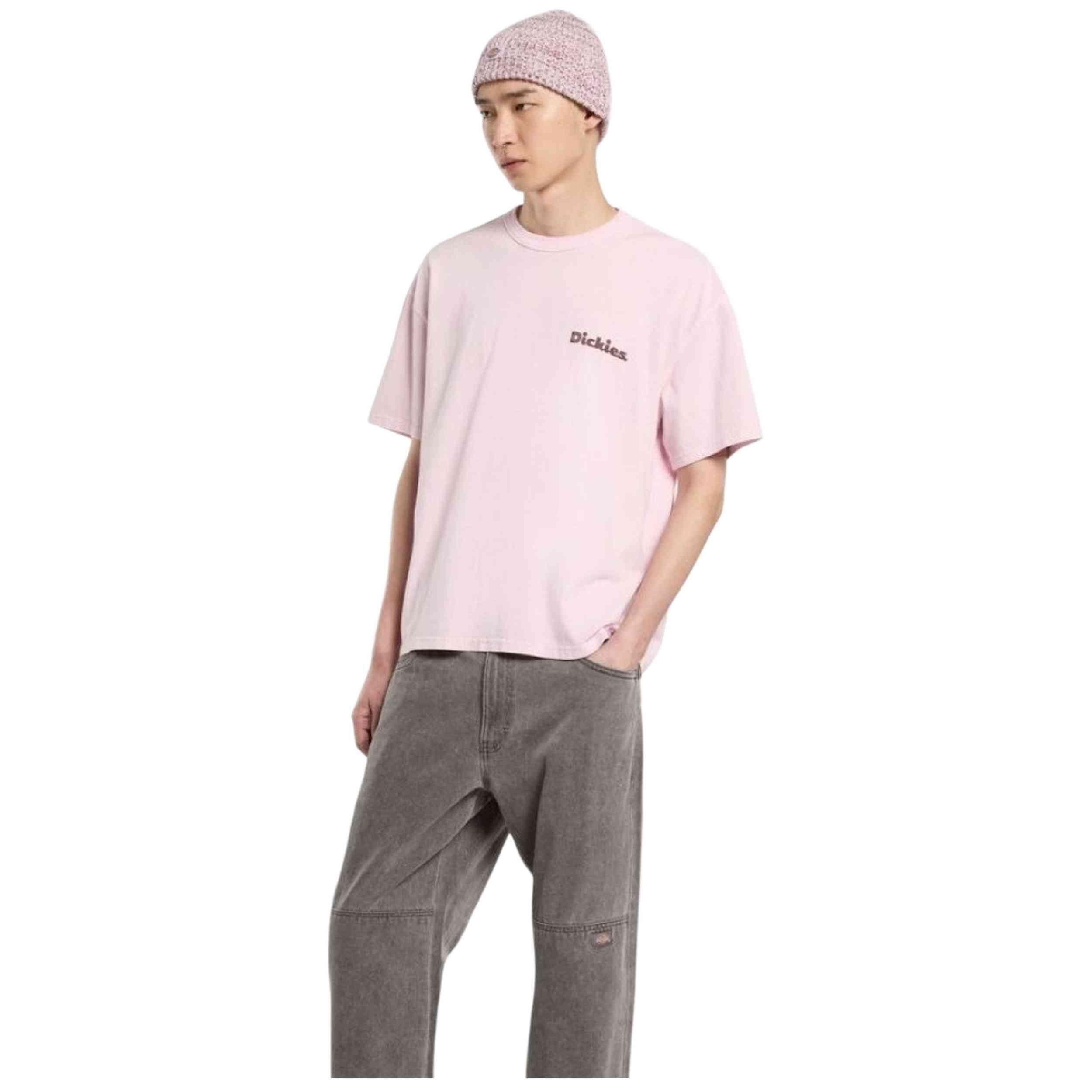 T-shirt met korte mouwen Dickies model DK0A87QRK731 voor mannen 4/4