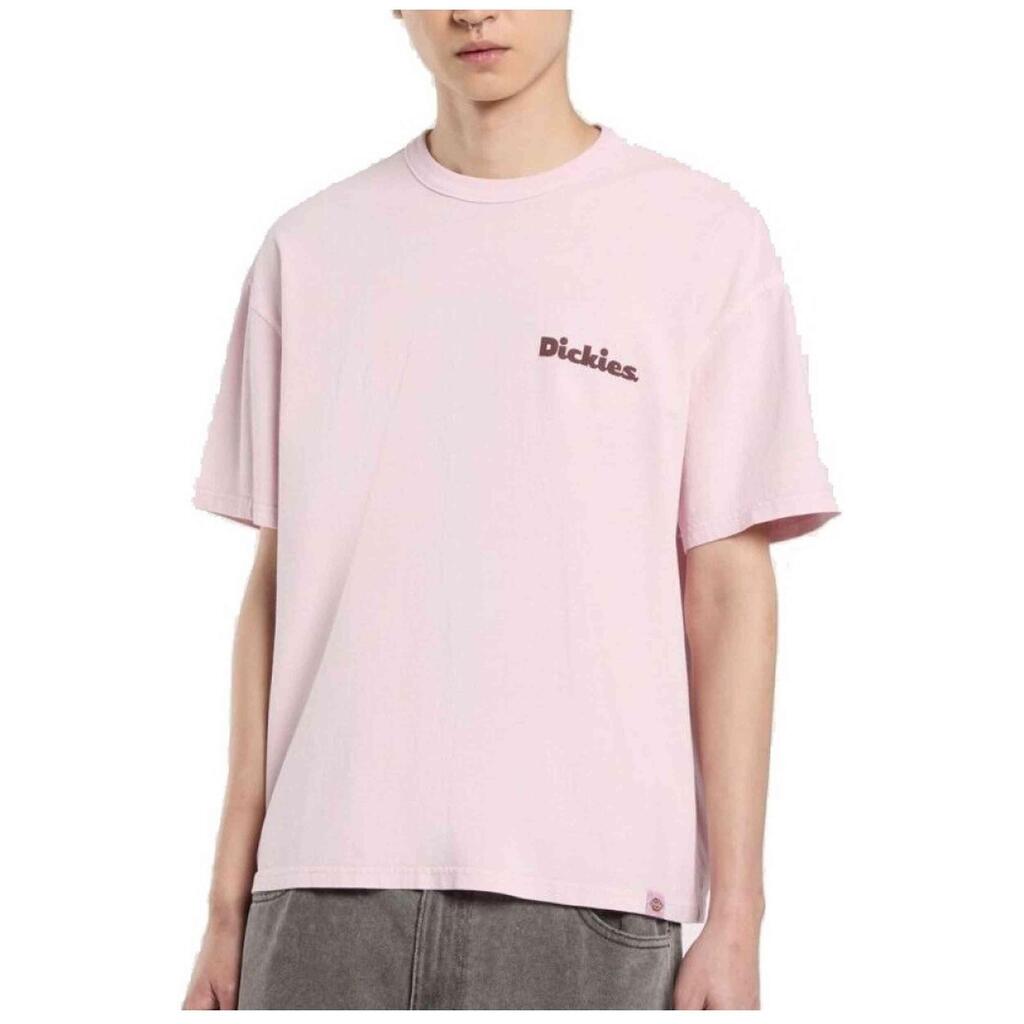 T-shirt Dickies model DK0A87QRK731 for man