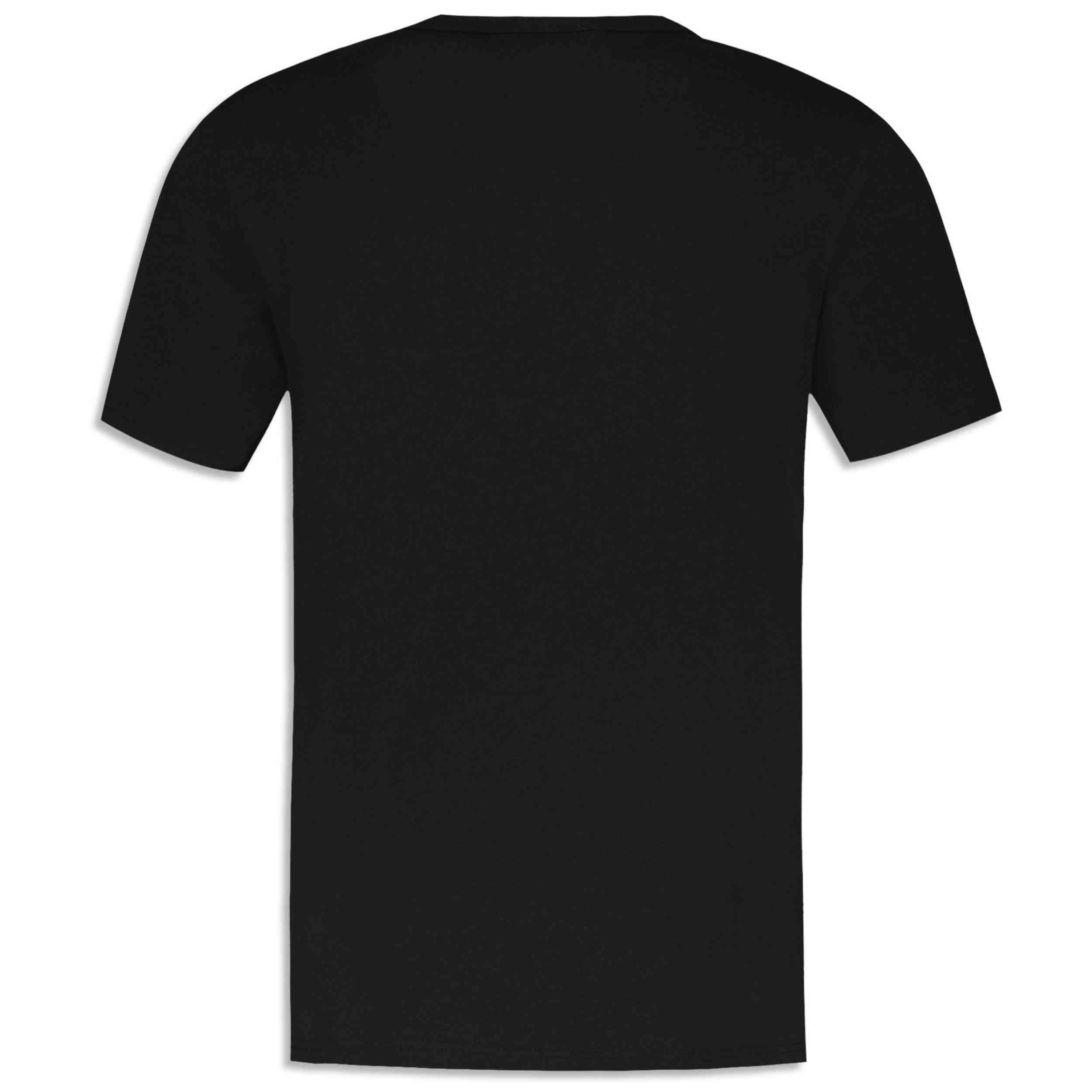 Maglia a maniche corte Le coq sportif modello 2510042-CONTEMPORAIN per uomini 5/5