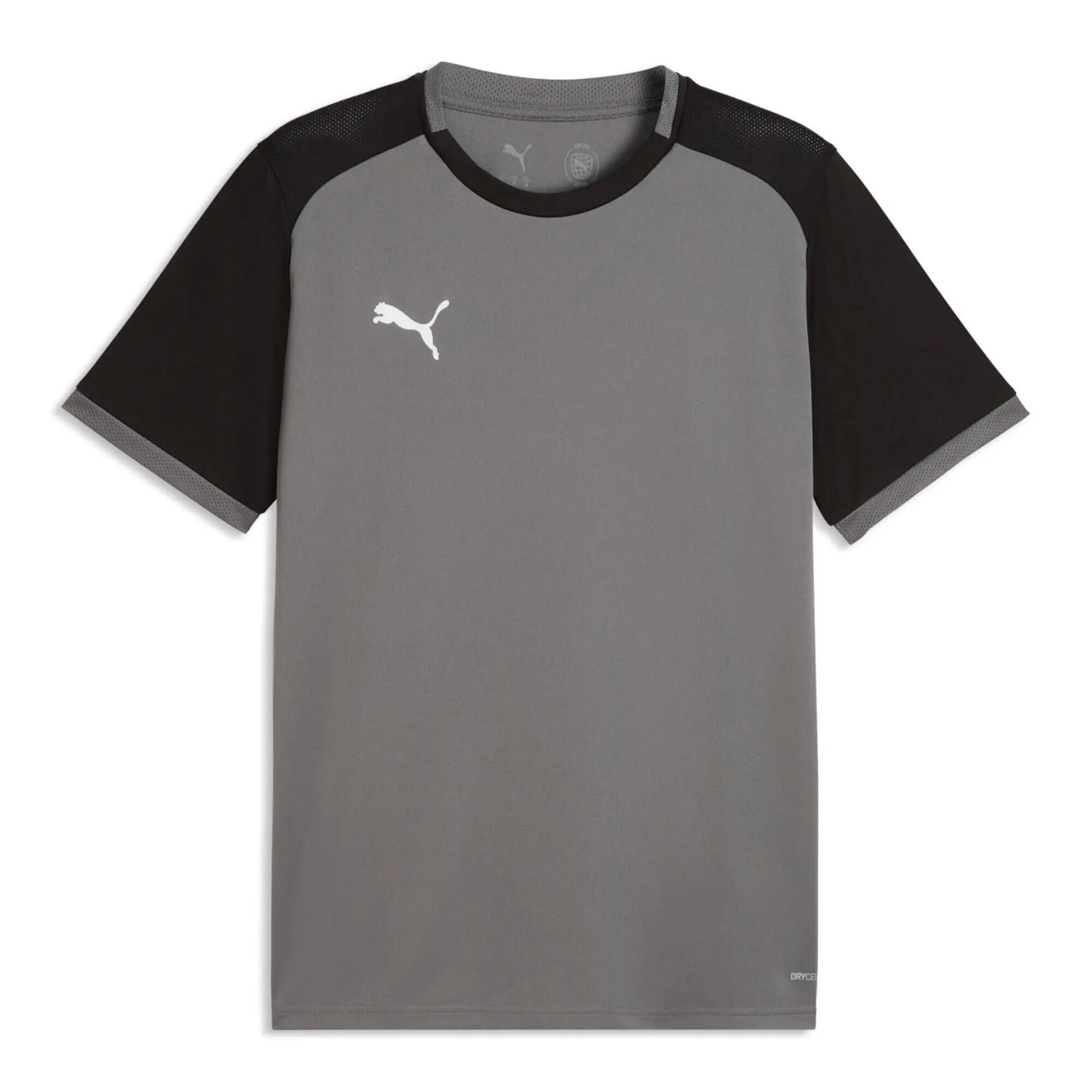 PUMA picture