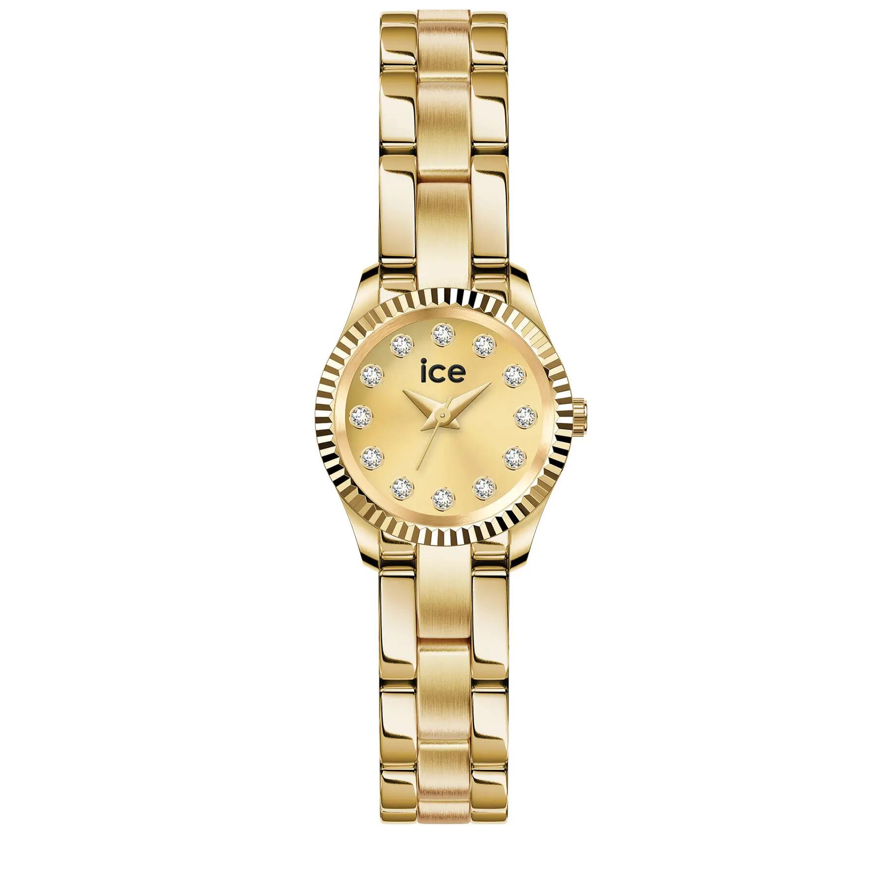 ICE WATCH picture