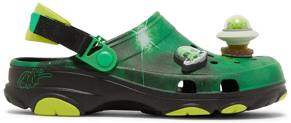 CROCS picture