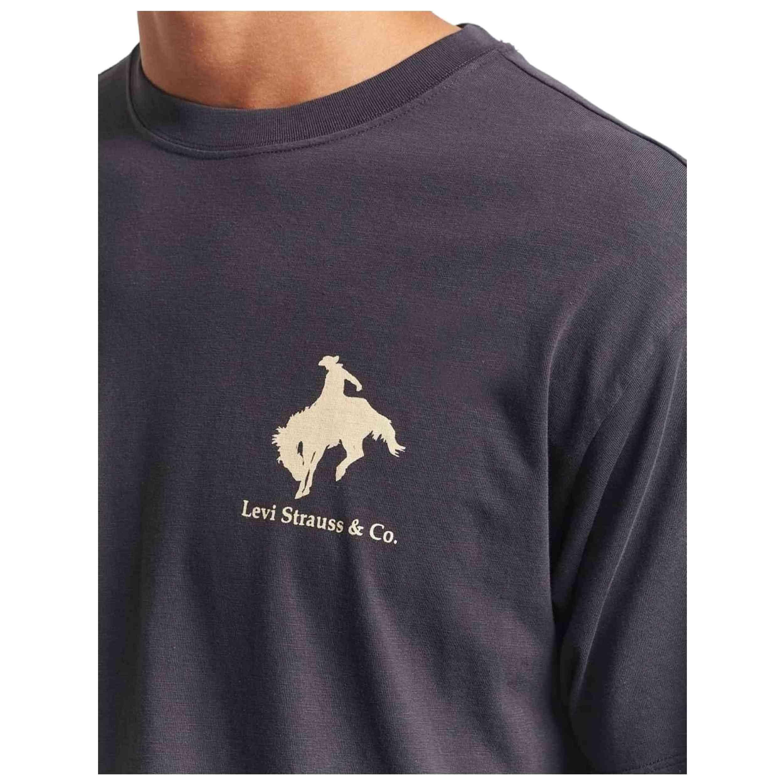 T-shirt Levi's modèle 87373-0373 pour homme 3/5